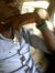 Kehinde...