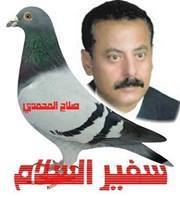 محمد عبدالمجيد