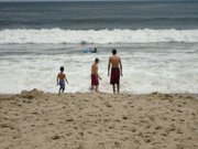 Kristine Walker-grega