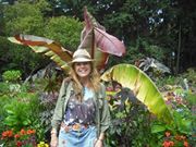 Jenny Sirell