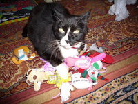 Suzanne Sosnow tucker