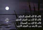 Mohamed Gamal