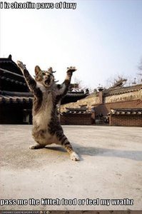 Choo Min yi