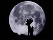 Ilshadsabah Abdullah