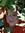 Claire (crabbyone) | 4 comments