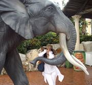 الانسة إبتسام برهومي شخصيا