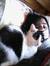Sofy Se...