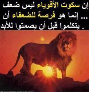Jamel Fateh