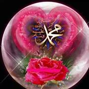 Hiba Safa
