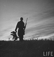 Wiktoria Skillmaster