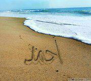 أحمد الدوامي