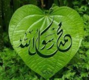 Abou Lina