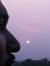 Ankit S...