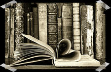 Carver's Book Cravings