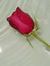 Madhuka...