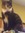 Poodlelover158