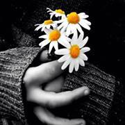 Majd Muhannad