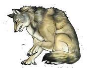 Silver Wolf Kinzurdia