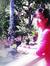 Ekaning...