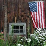 Pond Farm