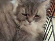 Thanutchanok Reabroy