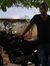 Vamsi V...