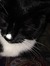 Lucy Sk...