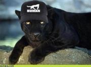 Бобчо Боборчев