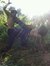 Farhan ...