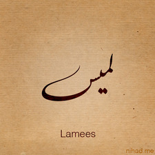 Lamis Yaseen
