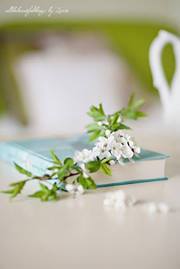 راقية راقية