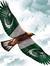 Qazi Ma...