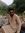 Asad Khan