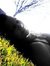 Teresa Locklear