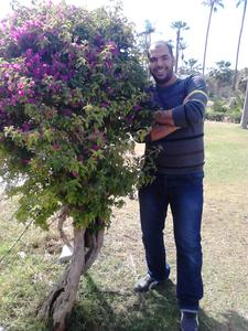 Ahmed Hamido