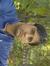 Shah Arif