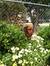 Diane Day