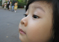 Mỡ Nguyễn