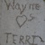 Terri Wayne