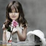 سنابل العطاء