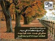 ام نسيبة وسارة