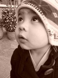 Yazid Saud