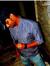 Arun Sh...