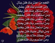 Samar Elmashed