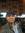 Amr Samir
