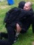 Chris P...