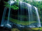 ابويوسف خالد