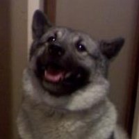 Susan Arnolde thomas