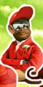 Convolvulacée Parent