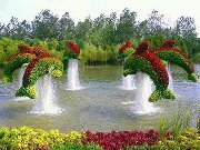 Happy Hapr